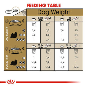 Royal Canin Mini Mature ADULT 8+ 2KG - Dogs And The City Online