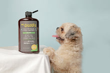 Load image into Gallery viewer, Mr. Giggles Shampoo &amp; Conditioner for Dog and Cat 500 ml