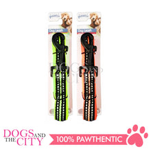 Load image into Gallery viewer, PAWISE  13166 DOG Reflective Soft Leash - orange 25mm*120cm