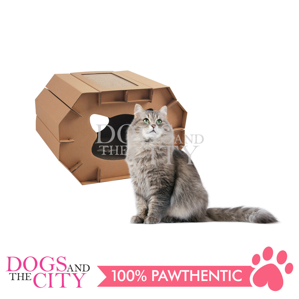 PAWISE 28479 2 in 1 Cat Scratcher House Pad Eco Friendly 51x38x35.5cm Dogs And The City Online