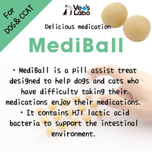 Load image into Gallery viewer, VET&#39;S LABO 16721 Japanese Medi Ball for Dog Beef Flavor Treat 15pcs 20g