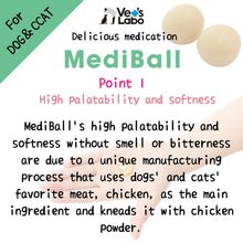 Load image into Gallery viewer, VET&#39;S LABO 16697 Japanese Medi Ball for Dog Chicken Fillet Flavor Treats 15pcs 20g