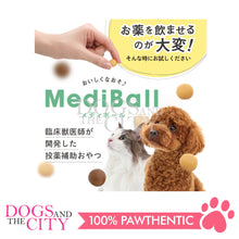 Load image into Gallery viewer, VET&#39;S LABO 16697 Japanese Medi Ball for Dog Chicken Fillet Flavor Treats 15pcs 20g