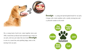 Dentalight 8285 3" Nutri Diner Tasty Chicken & Beef Flavor Mix Dog Treats 10 Bones 180g - Dogs And The City Online