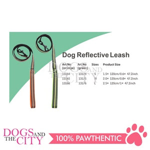 PAWISE  13176 Dog Reflective Soft Leash - Green 25mm*120cm