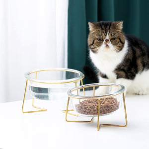 DGZ Nordic Glass Pet Bowl Small 450ml With Gold Iron Stand 15cmx10cmx8cm for Dog and Cat