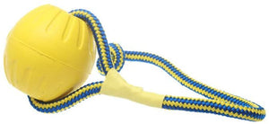 SLP FT002 Swing 'n Fling DuraFoam Ball Rope Dog Toy 6cm