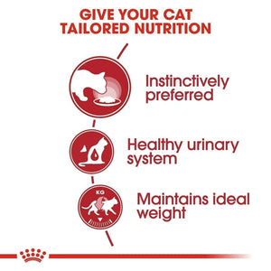 Royal Canin Feline Fit 32 2kg - All Goodies for Your Pet