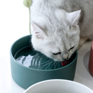 DGZ Nordic Ceramic Pet Bowl Medium 650ml 15.5x7cm for Dog and Cat