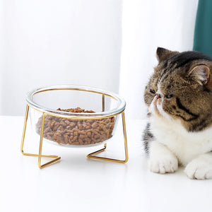 DGZ Nordic Glass Pet Bowl Small 450ml With Gold Iron Stand 15cmx10cmx8cm for Dog and Cat