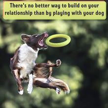 Load image into Gallery viewer, SLP FT009 DuraFoam Aerofoam Rubber Ring Training Dog Toy 20cm