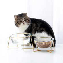 Load image into Gallery viewer, DGZ Nordic Glass Pet Bowl Small 450ml With Gold Iron Stand 15cmx10cmx8cm for Dog and Cat