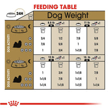 Load image into Gallery viewer, Royal Canin Mini Mature ADULT 8+ 2KG - Dogs And The City Online