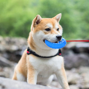 SLP Arctic Freeze Ring Cooling Chew Dog Toy 12cm, Teething Toy for Puppies, Fit with Treats for More Fun (Chewing Ring)