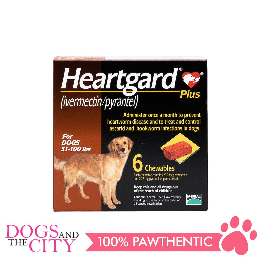 Heartgard Plus Chewable Tablets for Dogs, 23kg to 45kg (6 chewables) - Dogs And The City Online