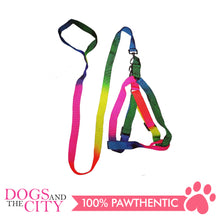 Load image into Gallery viewer, JX 2.0cm Rainbow Design Harness and Leash for Medium Breed Dogs