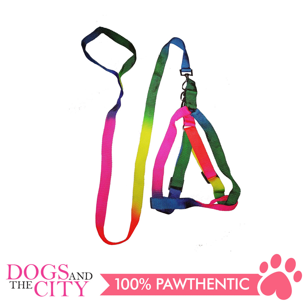 JX 2.0cm Rainbow Design Harness and Leash for Medium Breed Dogs
