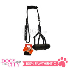 Load image into Gallery viewer, JX HJLH2001 1.0cm Pet Adjustable Harness with 0.6cm Round Leash Control for Small Dog and Cat