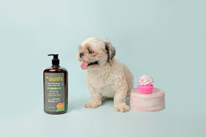 Mr. Giggles Shampoo & Conditioner Mandarin Orange 1000 ml for Dogs and Cats