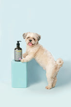 Load image into Gallery viewer, Mr. Giggles Dry Shampoo Vanilla 65g