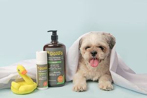 Mr. Giggles Shampoo & Conditioner for Dog and Cat 500 ml