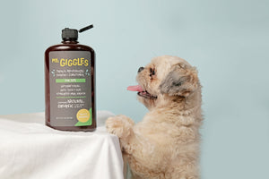 Mr. Giggles Shampoo & Conditioner Mandarin Orange 1000 ml for Dogs and Cats