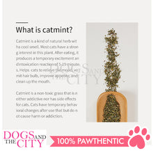 Load image into Gallery viewer, Mr. Giggles Cat Mint 20g/250ml Catnip All Natural No Additives for Cats