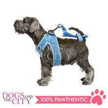 Load image into Gallery viewer, PAWISE 12031 Air Mesh Soft Adjustable Harness for Dog and Puppy 3XS w/1.2m Leash