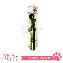 Load image into Gallery viewer, PAWISE  13174 Dog Reflective Soft Leash - Green 15MM*120CM