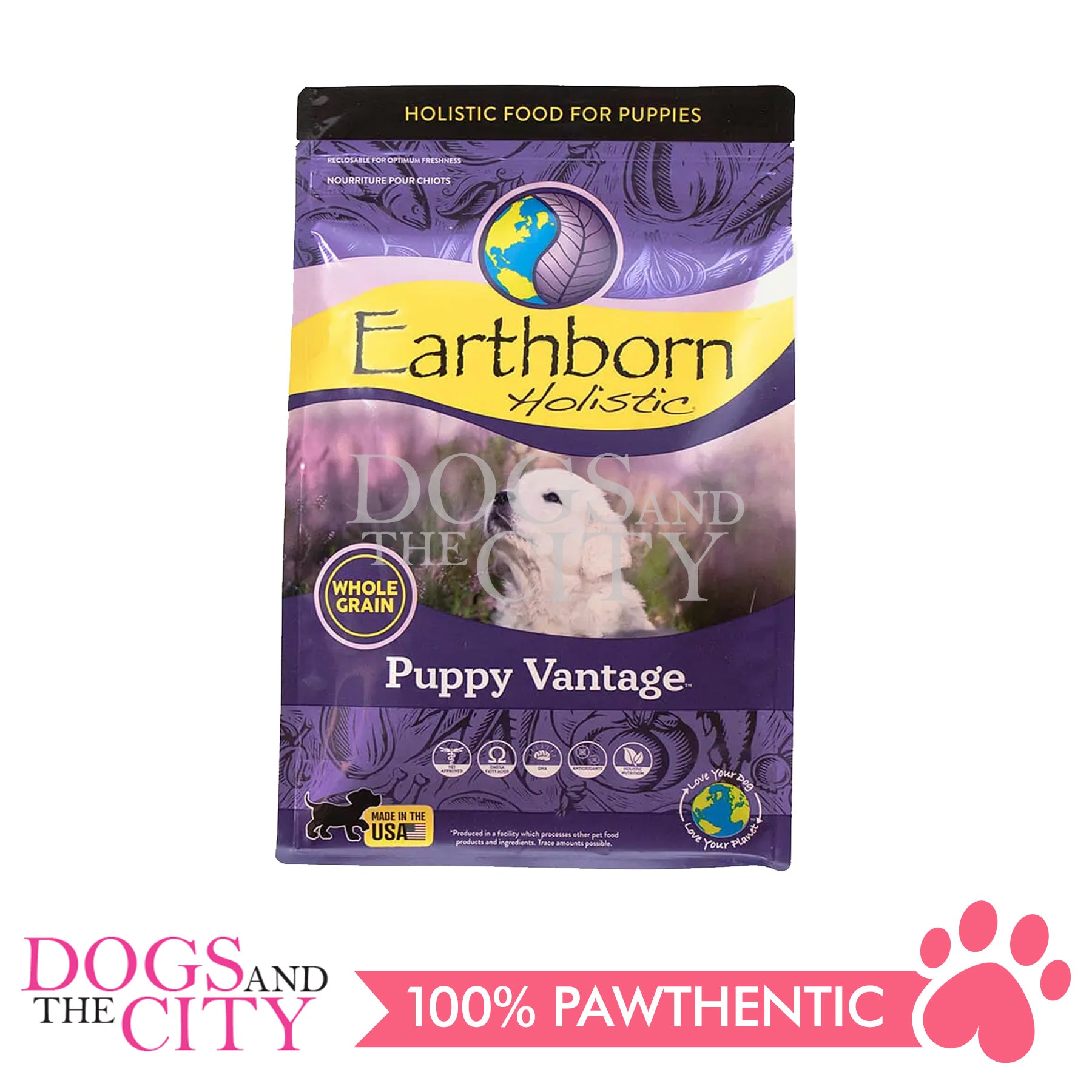 EARTHBORN Dogs And The City Online