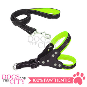 JX 2.0CM Adjustable Dog Harness and Leash With Leather Chest Pull for Small to Medium Dog
