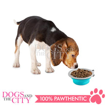 Load image into Gallery viewer, PAWISE 11003 Collapsible Pet Bowl for Dog and Cat 680ml 14cm*5cm