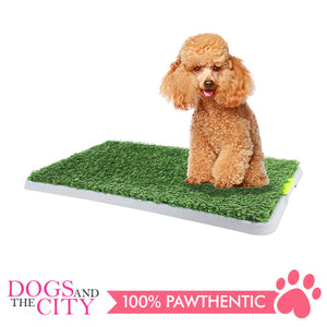 Pawise 11449 Pet Green Trainer Replacement Mat 1 piece 64.9x39x2cm - All Goodies for Your Pet