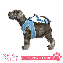 Load image into Gallery viewer, PAWISE 12036 Air Mesh Soft Adjustable Harness for Dog and Puppy LARGE w/1.2m Long Leash