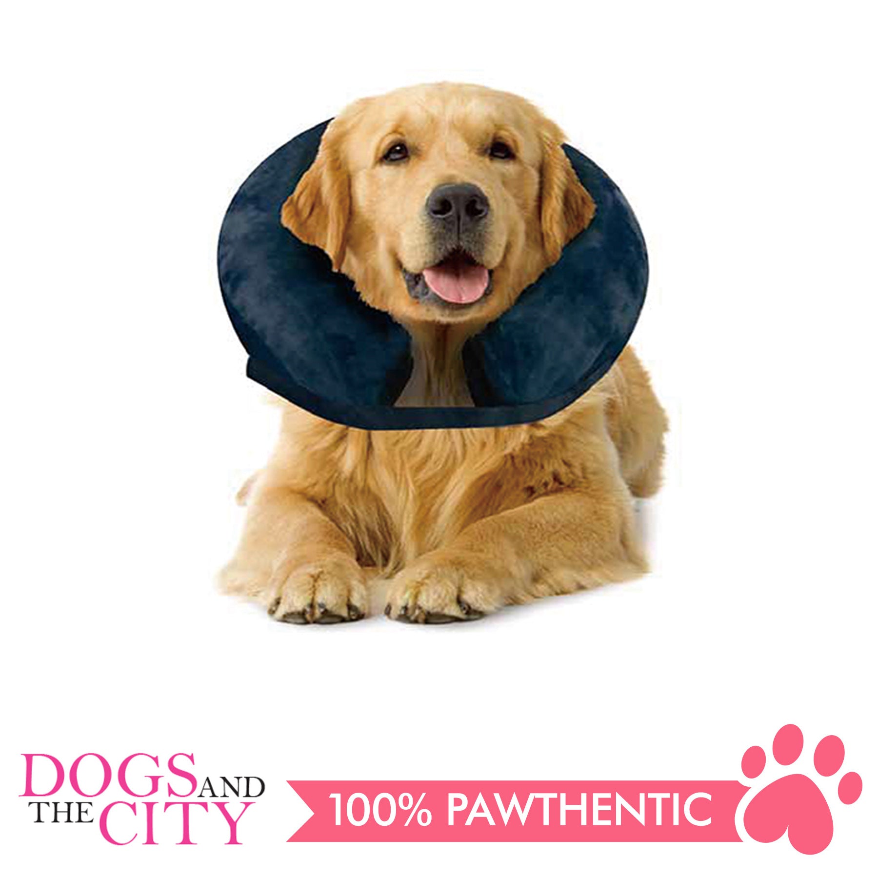 Pet protective outlet collar