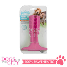Load image into Gallery viewer, PAWISE 14473 Toothbrush Chewy Dog Toy Large 17x12.5cm