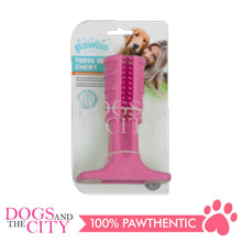 Load image into Gallery viewer, PAWISE 14471 Toothbrush Chewy Dog Toy Small 11x8.5cm
