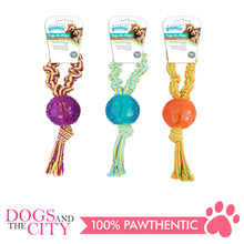 Load image into Gallery viewer, Pawise 14536 Dog Toy Tug-O-Play-Ball - All Goodies for Your Pet