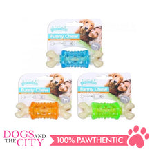 Load image into Gallery viewer, Pawise 14605 Dog Toy Funny Chew Bone Small - All Goodies for Your Pet