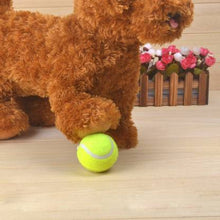 Load image into Gallery viewer, Pawise 14754 Pawise Squeaky Tennis Ball Dog Toy 6.3cm - All Goodies for Your Pet